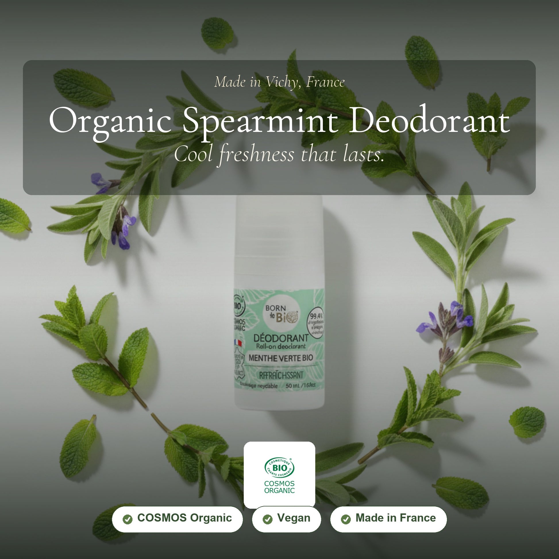 Organic Spearmint Deodorant – slide 1