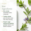 Organic Spearmint Deodorant – slide 3