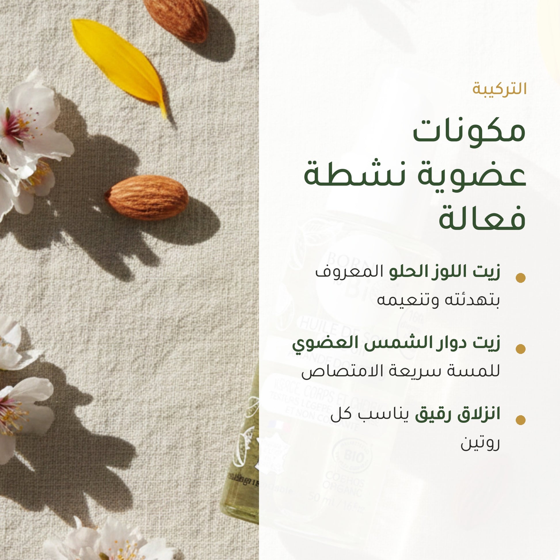 زيت اللوز الحلو العضوي للعناية المتعددة – مُعتمد عضويًا | بورن تو بيو فيشي – شريحة 3