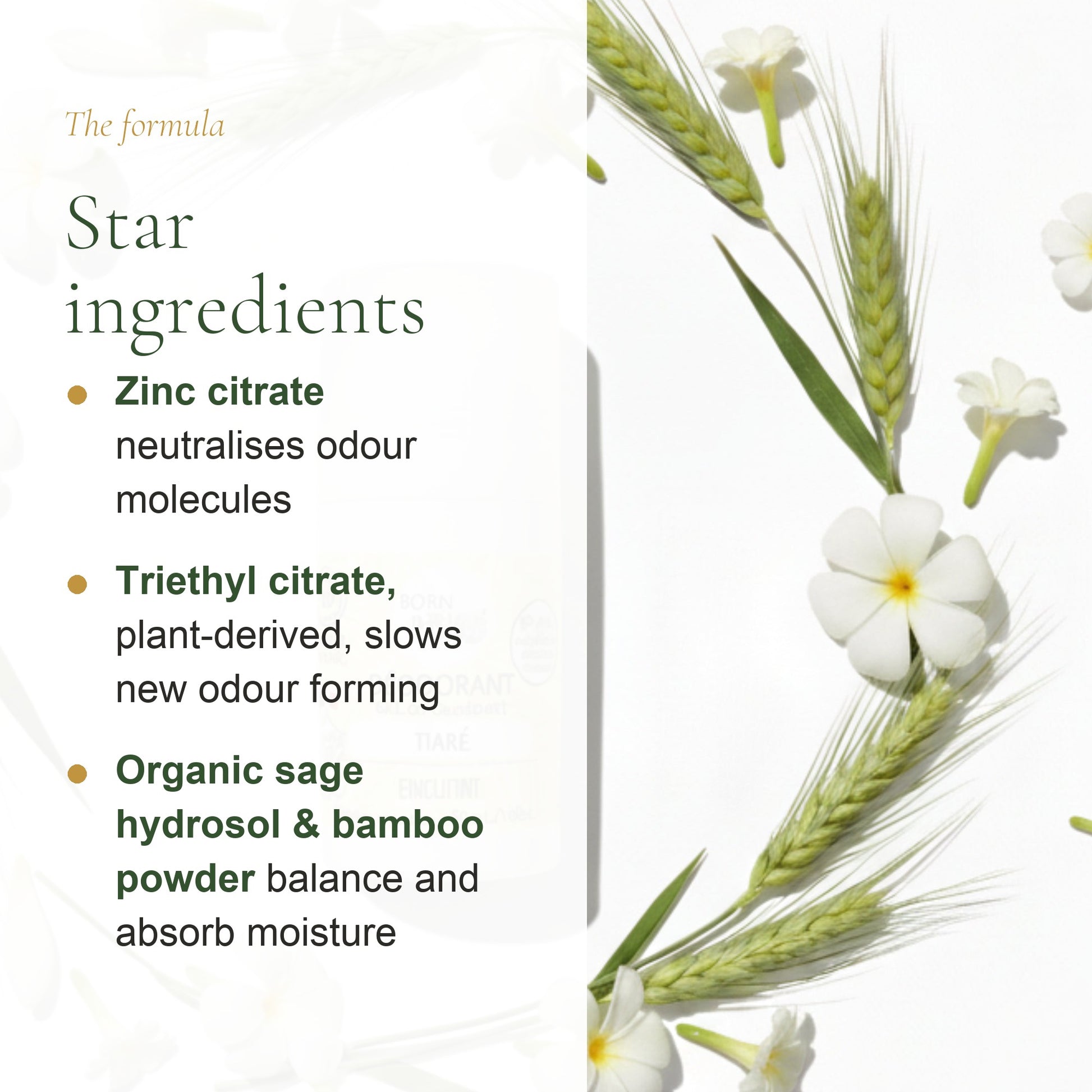 Organic Tiaré Deodorant – slide 3