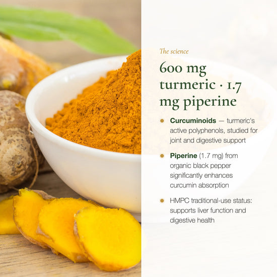 Organic turmeric 600mg piperine science supplement (slide 3)