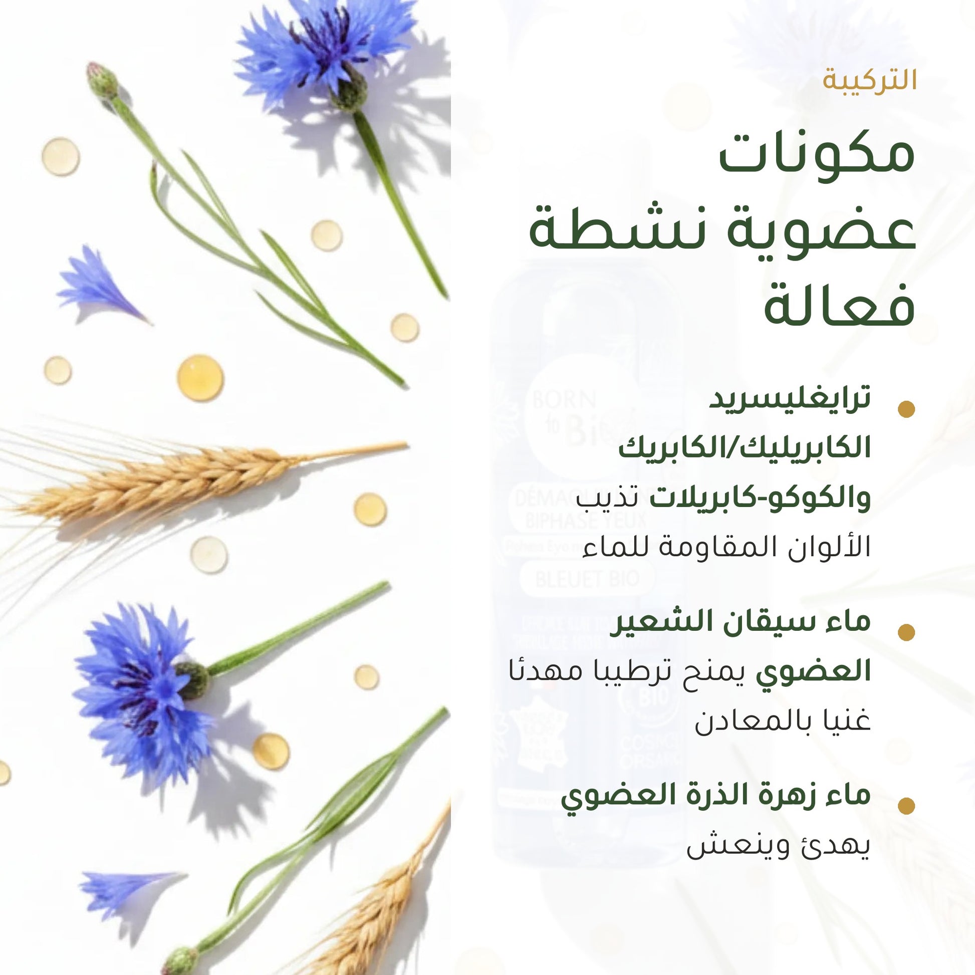 مزيل مكياج العيون المضاد للماء عضوي معتمد من بيو كوزموس - بورن تو بيو - فيشي فرنسا – شريحة 3