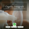 Fenugreek Organic Supplement – Supports Appetite, Nutrition Balance & Lactation – slide 1