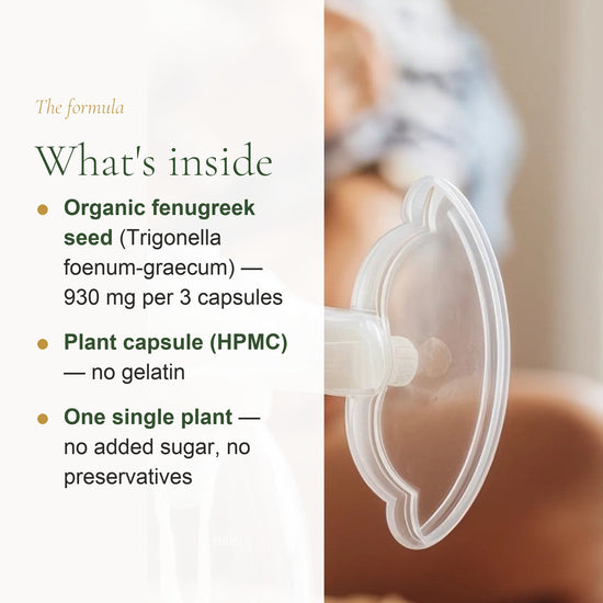 Fenugreek Organic Supplement – Supports Appetite, Nutrition Balance & Lactation – slide 3