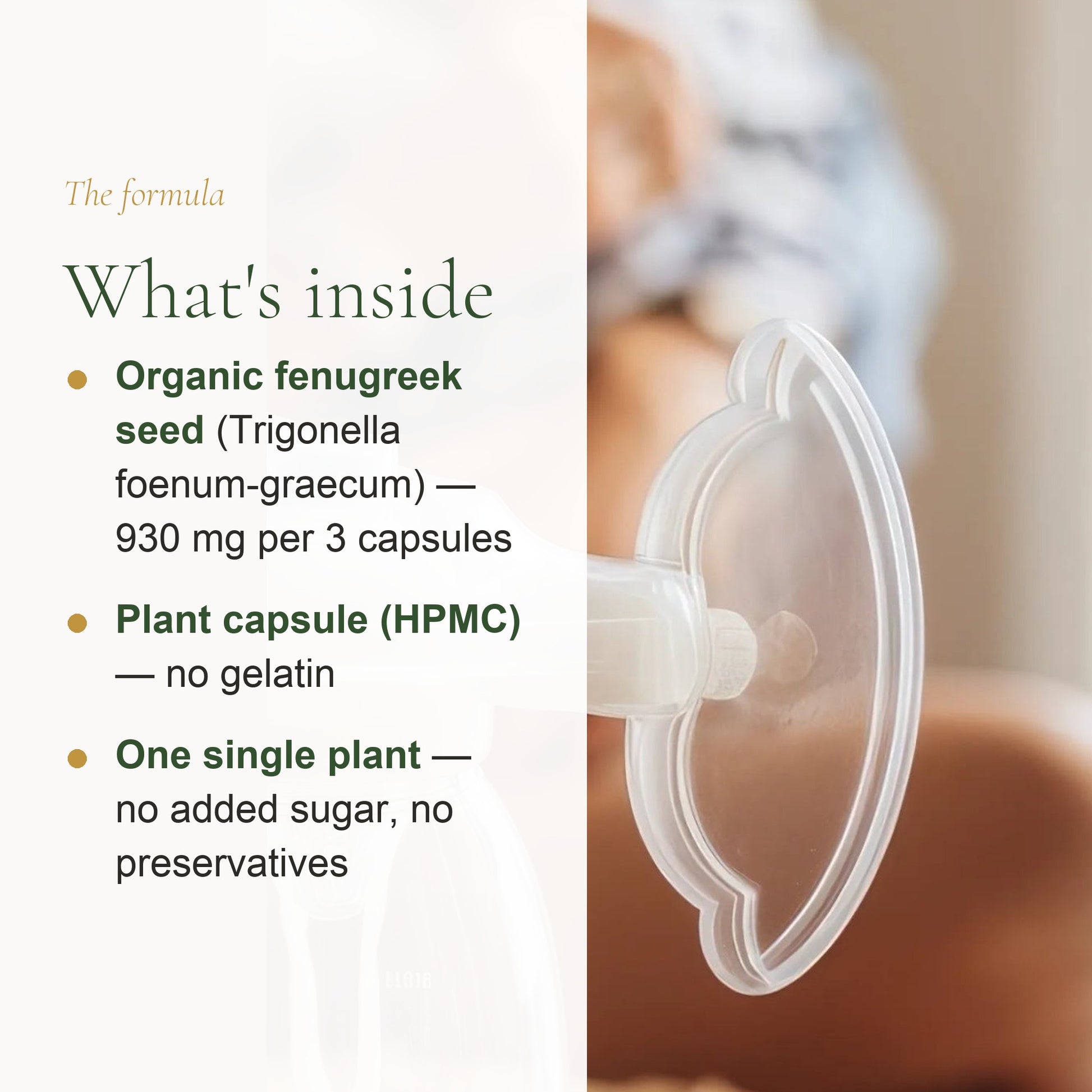 Fenugreek Organic Supplement – Supports Appetite, Nutrition Balance & Lactation – slide 3