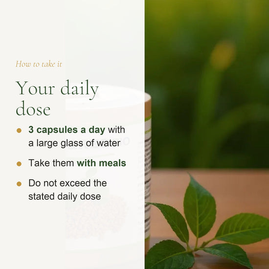 Fenugreek Organic Supplement – Supports Appetite, Nutrition Balance & Lactation – slide 6
