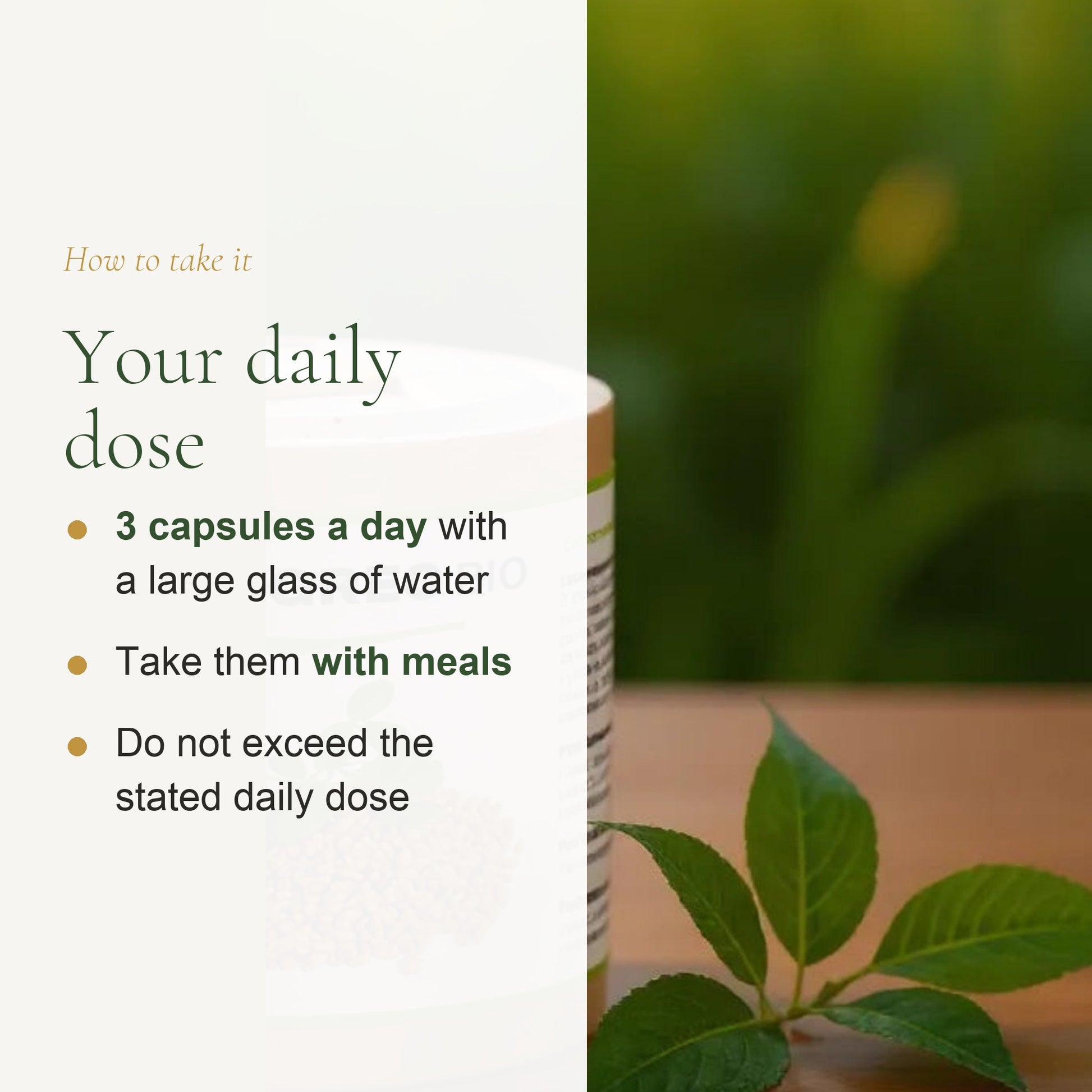 Fenugreek Organic Supplement – Supports Appetite, Nutrition Balance & Lactation – slide 6
