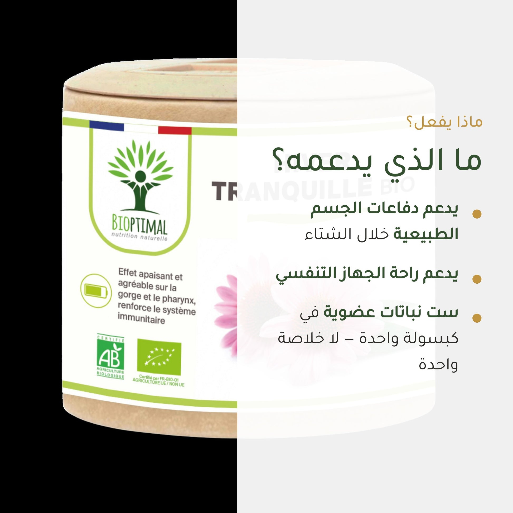 مكمل غذائي لتعزيز المناعة عضوي موثق – شريحة 2