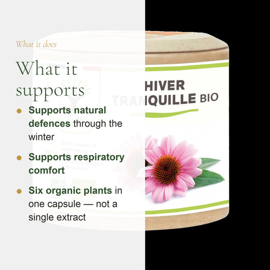 Winter Immunity Organic Food Supplement – slide 2