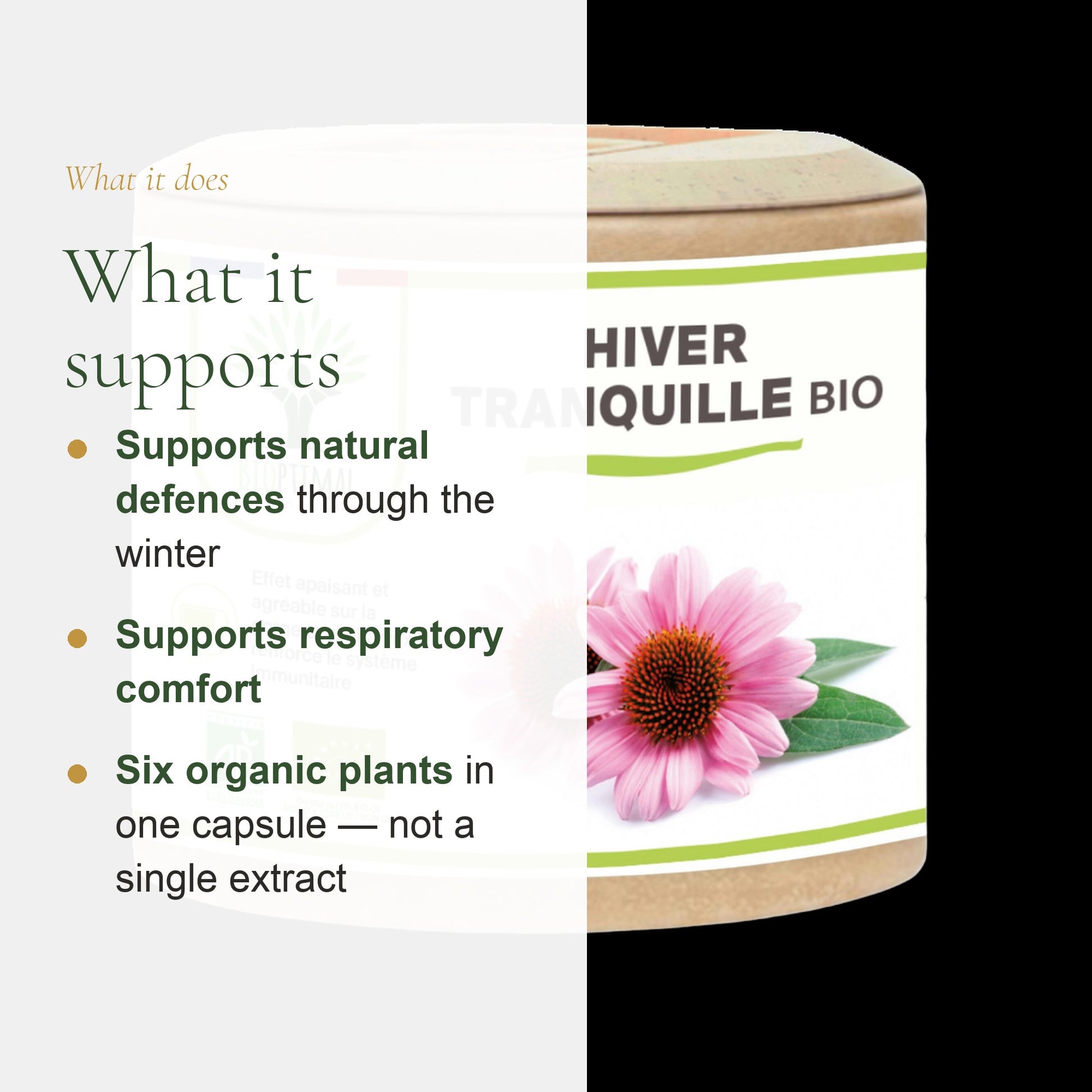 Winter Immunity Organic Food Supplement – slide 2