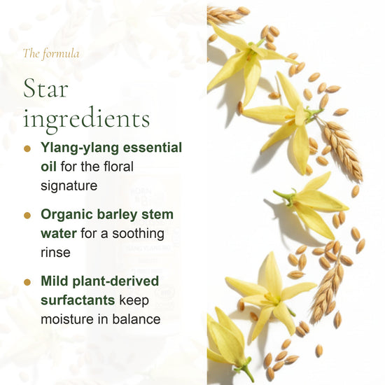 Organic Ylang-Ylang Shower Foam – slide 3