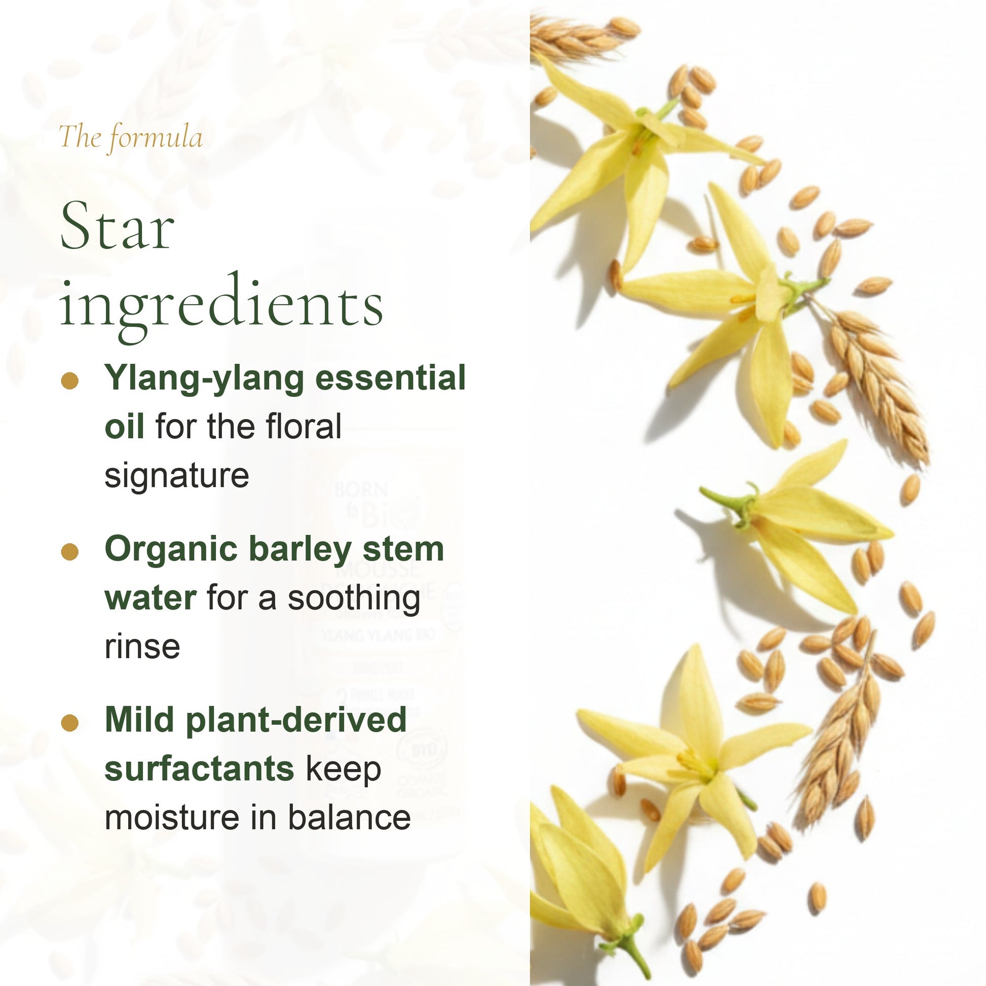 Organic Ylang-Ylang Shower Foam – slide 3